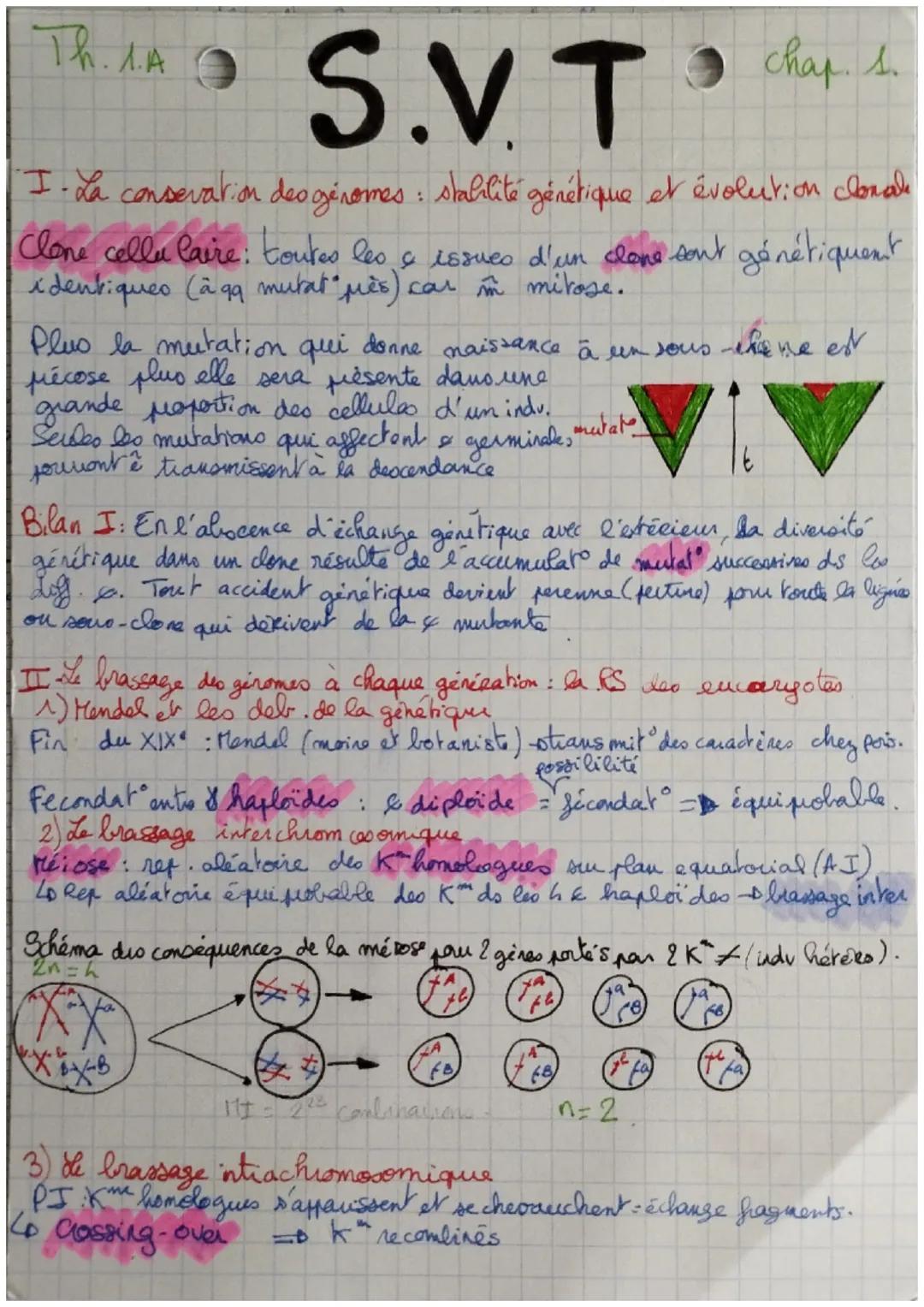 Th. 1.A
S.V.T'
I. La conservation des génomes: stabilité génétique et évolution clonal
Clone cellulaire : toutes les e issues d'un clone son