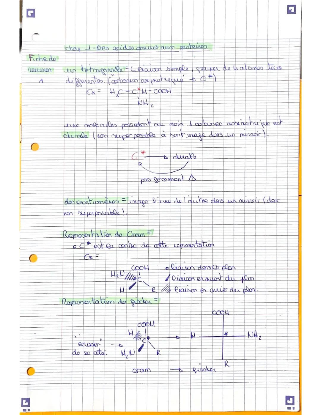 Chap 1- des acides aminés aux protéines 