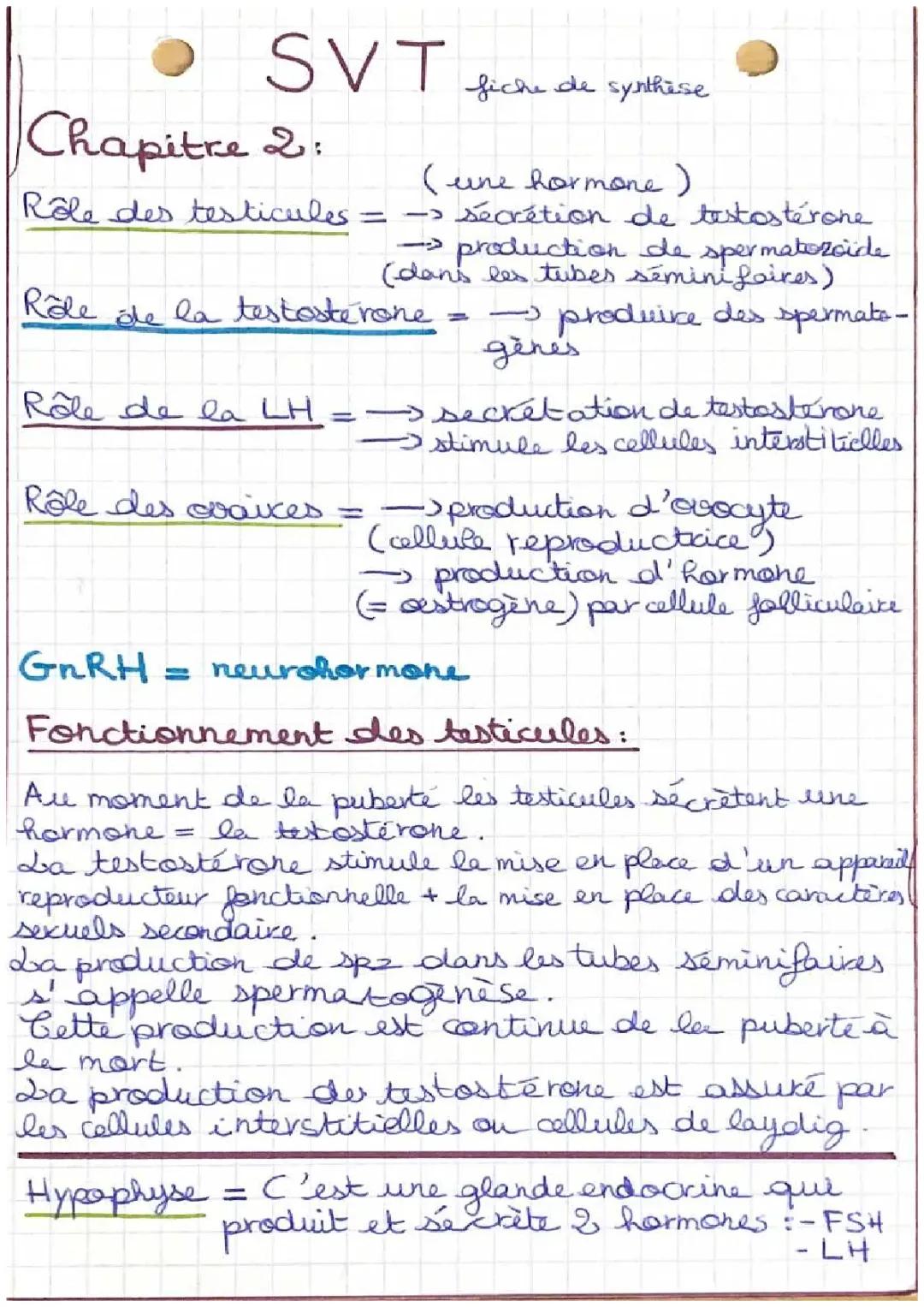 Le fonctionnement de l'appareil reproducteur masculin et féminin : Schémas et Comparaisons