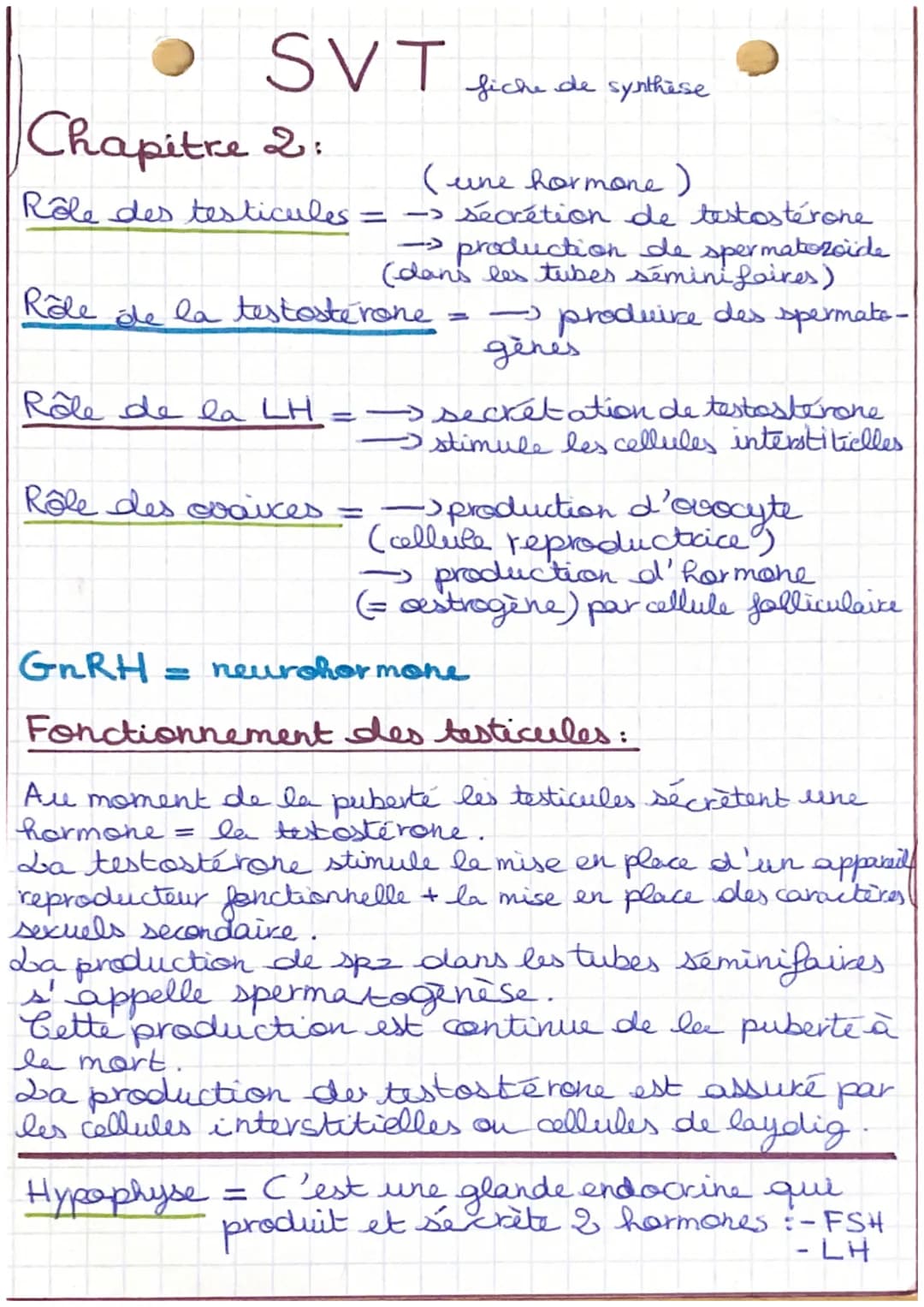 SVT
Chapitre 2:
Rôle des testicules
(une hormone)
-> sécrétion de testostérone
- production de spermatozoide
(dans les tubes séminifaires)
R