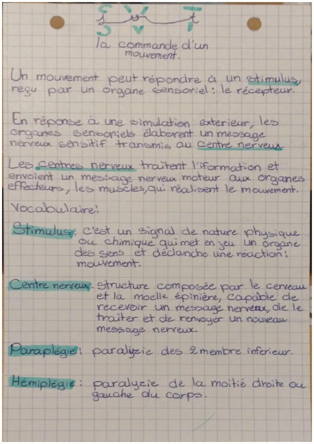 3

la commande d'un
mouvement.

Un mouvement peut répondre à un stimulus,
reçu par un organe sensoriel: le récepteur."

En réponse à une sim