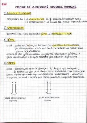 Know Origine de la diversité des êtres humains thumbnail