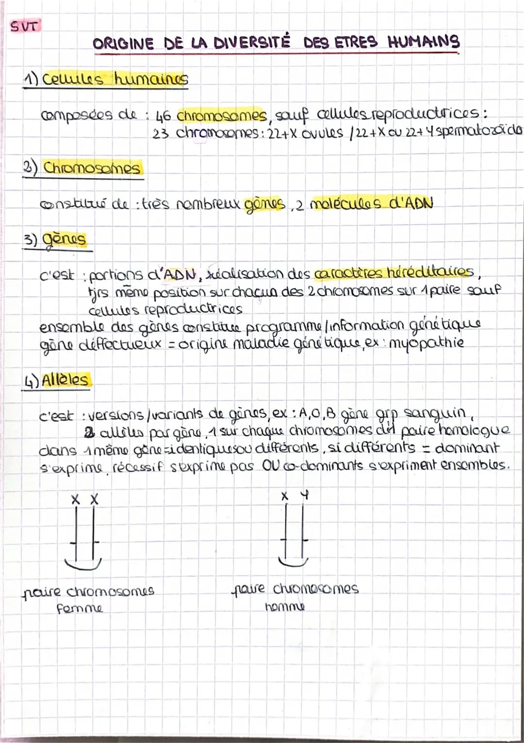SVT
ORIGINE DE LA DIVERSITÉ DES ETRES HUMAINS
1) Cellules humaines
composées de: 46 chromosomes, sauf cellules reproductrices:
23 chromosome