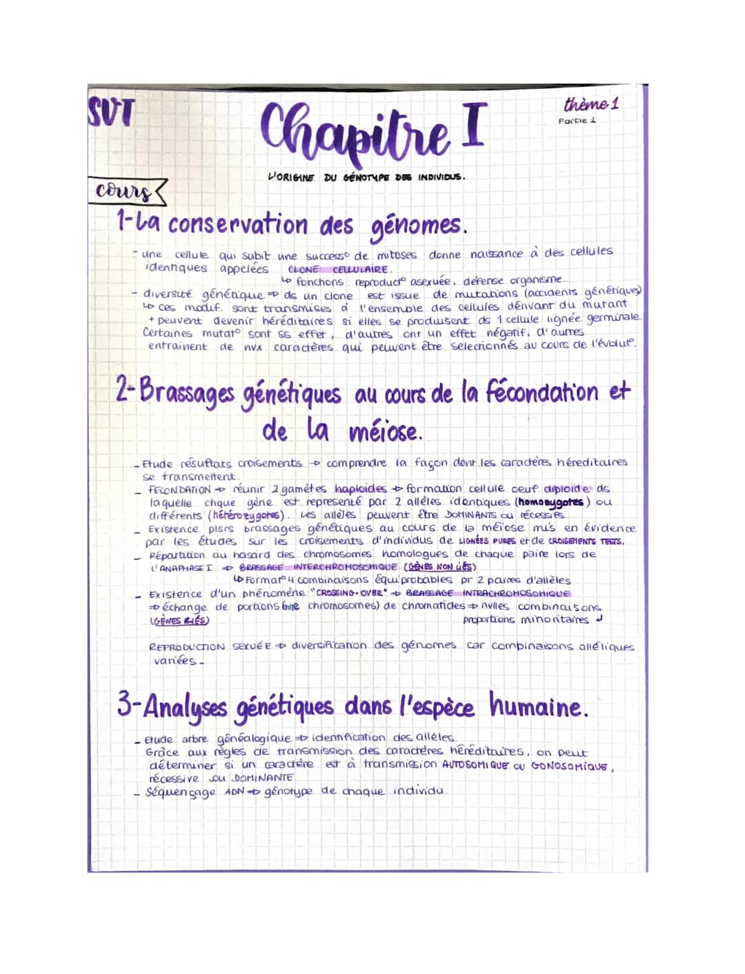 SUT
Chapitre I
L'ORIGINE DU GENOTYPE DES INDIVIDUS.
cours
1-La conservation des génomes.
- une
thème 1
Partie 1
cellule qui subit une succes
