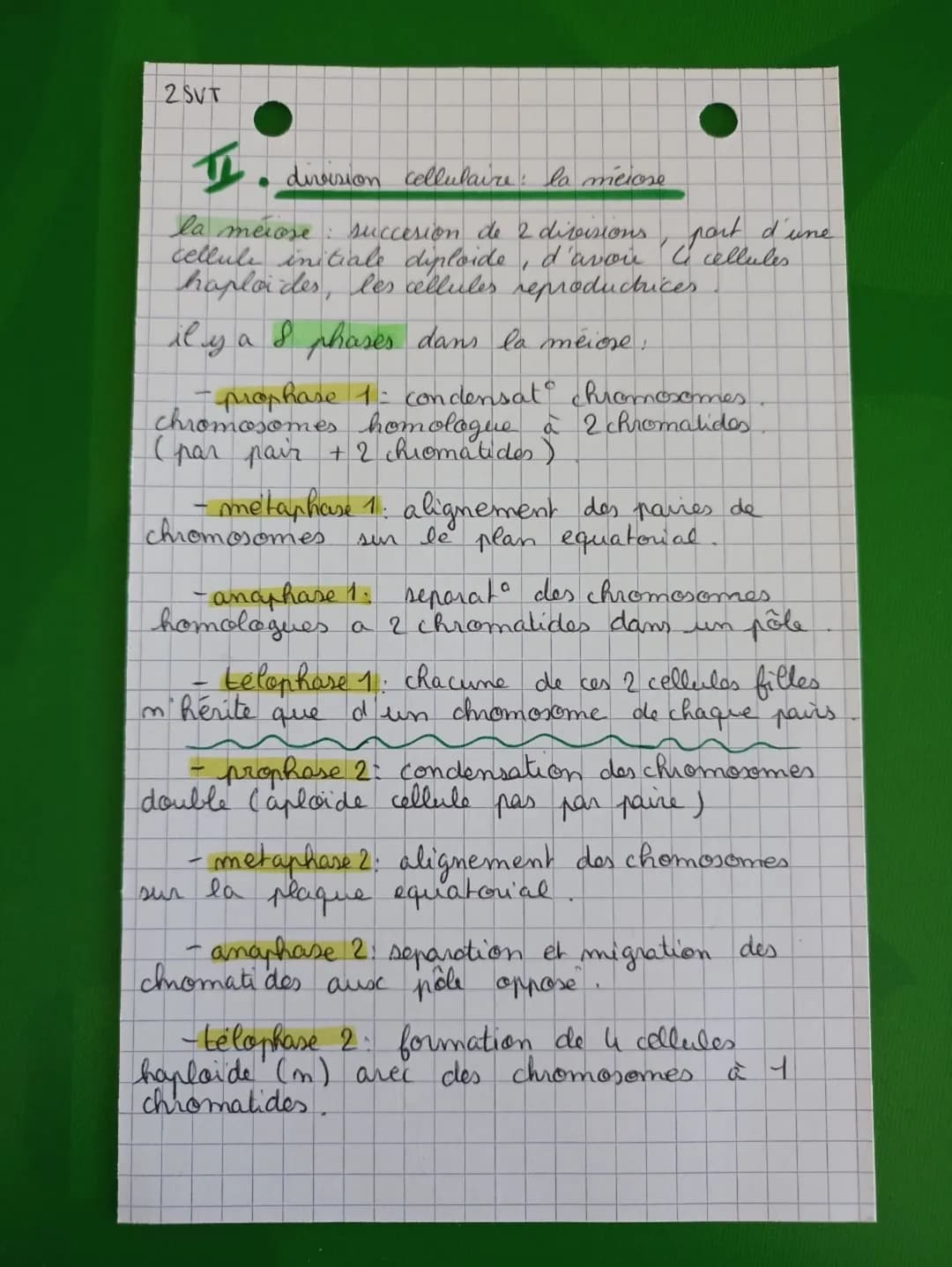 -D phase M - étape de division de la cellule
les chromosomes ne possèdent plus que 1
seule chromatide
-M (mitore): division cellulare (retou