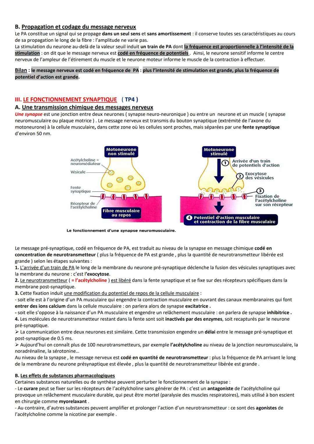 Spécialité Te
Un réflexe est une réaction involontaire, stéréotypée, innée et rapide en réponse à un stimulus. Le réflexe myotatique concern