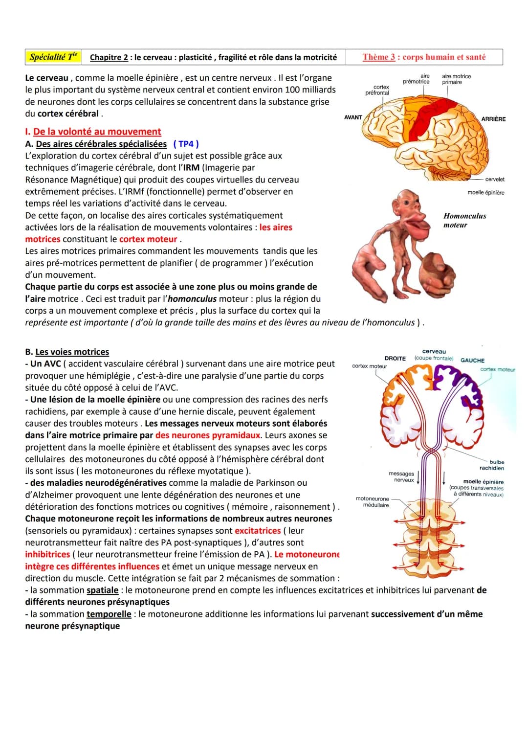 Spécialité Te
Un réflexe est une réaction involontaire, stéréotypée, innée et rapide en réponse à un stimulus. Le réflexe myotatique concern