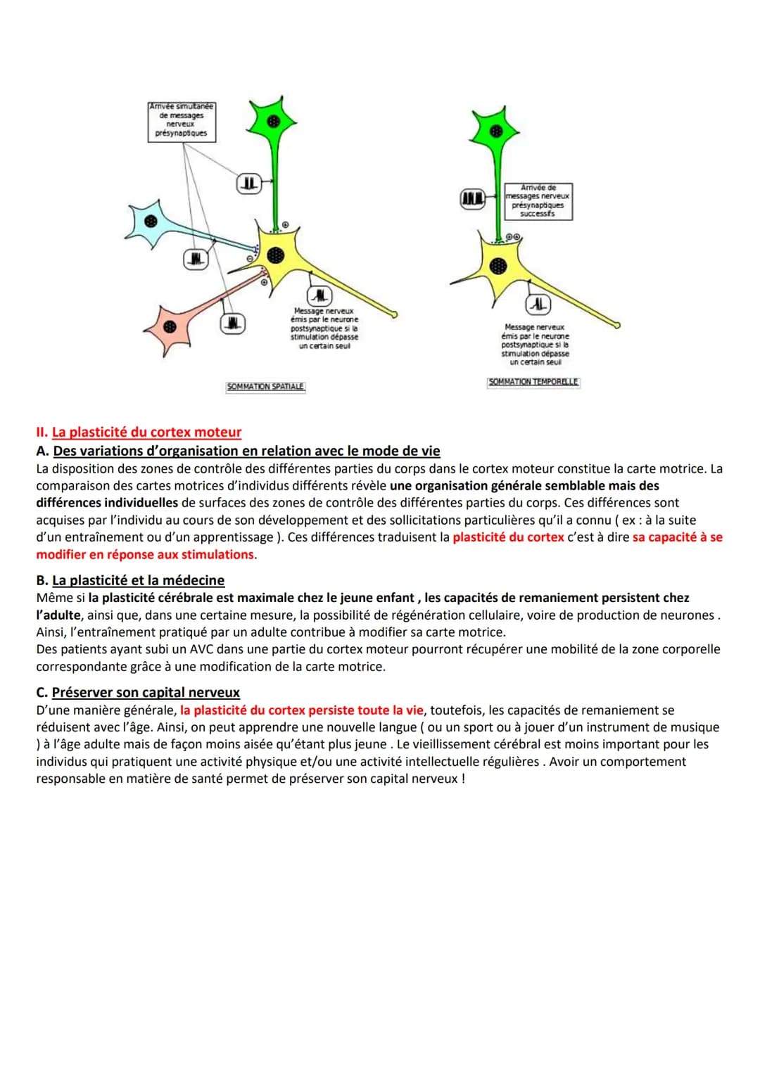 Spécialité Te
Un réflexe est une réaction involontaire, stéréotypée, innée et rapide en réponse à un stimulus. Le réflexe myotatique concern