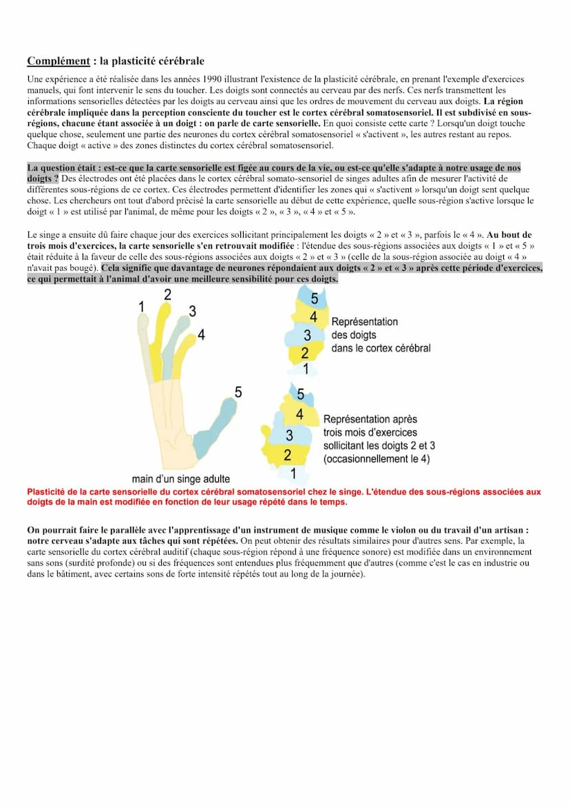 Spécialité Te
Un réflexe est une réaction involontaire, stéréotypée, innée et rapide en réponse à un stimulus. Le réflexe myotatique concern