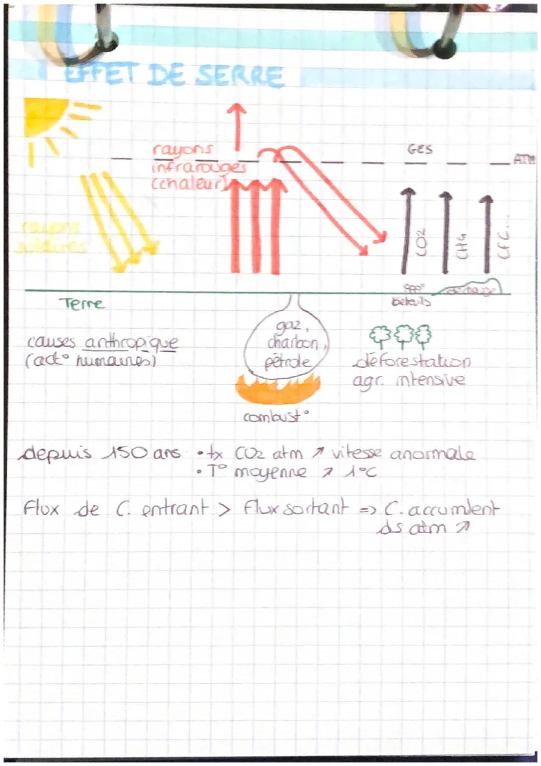 le Climat
Prinape d'actualisme: les processus
observés de nos jours s'opperquent
de la m
la m Façon ds le passe
PALYNOLOGIE
= étude des grai