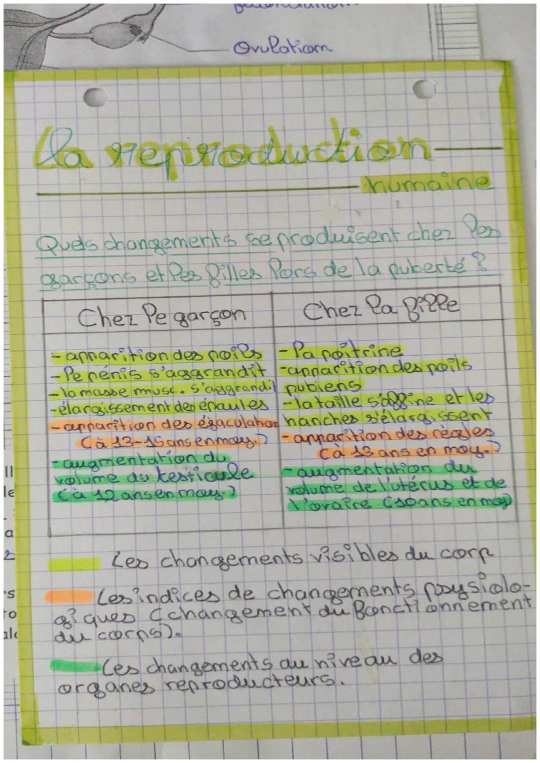 C
Ovulation
la reproduction
humaine
Quels changements se produisent chez Per
garçons et Pes filles Pors de la puberté ?
Chez Pe garçon
Chez 