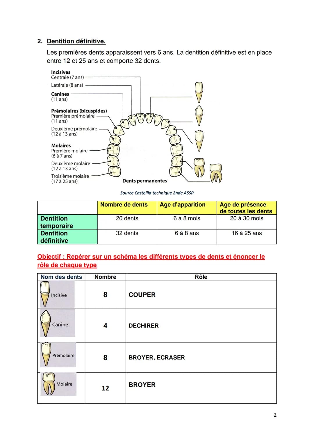 C1-05 BILAN: Dentition, hygiène bucco-dentaire
Objectif : Annoter le schéma d'une dent (voir aussi schéma du TD)
S
Collet Couronne
Racine
In