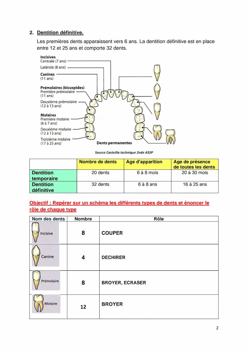 C1-05 BILAN: Dentition, hygiène bucco-dentaire
Objectif : Annoter le schéma d'une dent (voir aussi schéma du TD)
S
Collet Couronne
Racine
In