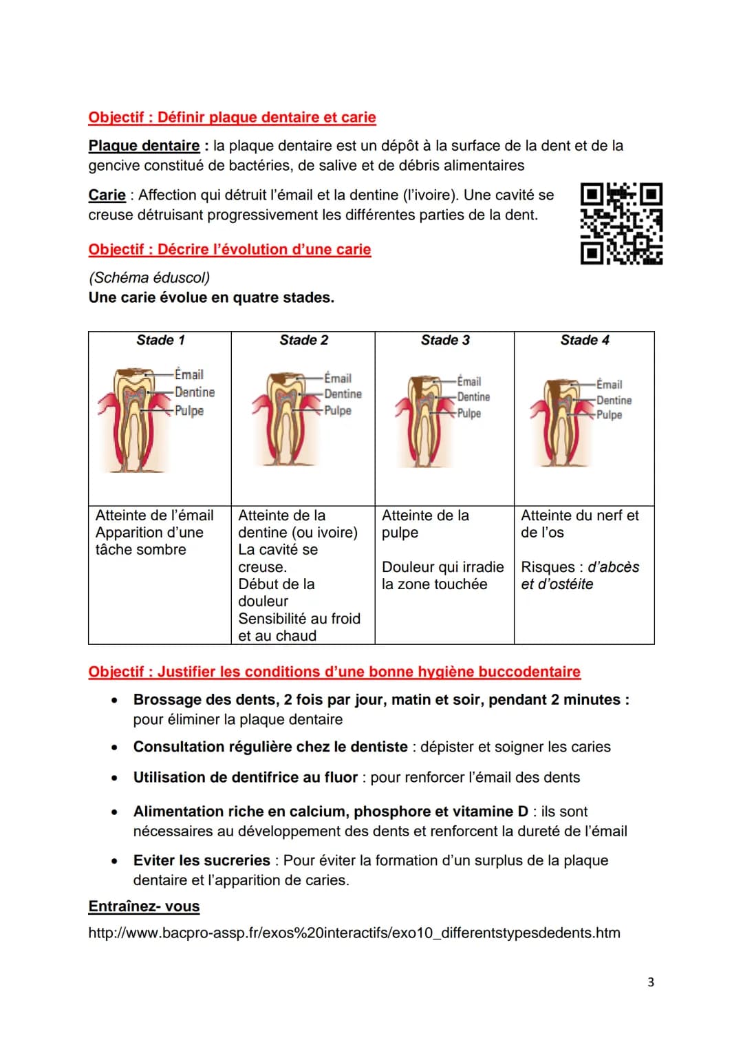 C1-05 BILAN: Dentition, hygiène bucco-dentaire
Objectif : Annoter le schéma d'une dent (voir aussi schéma du TD)
S
Collet Couronne
Racine
In