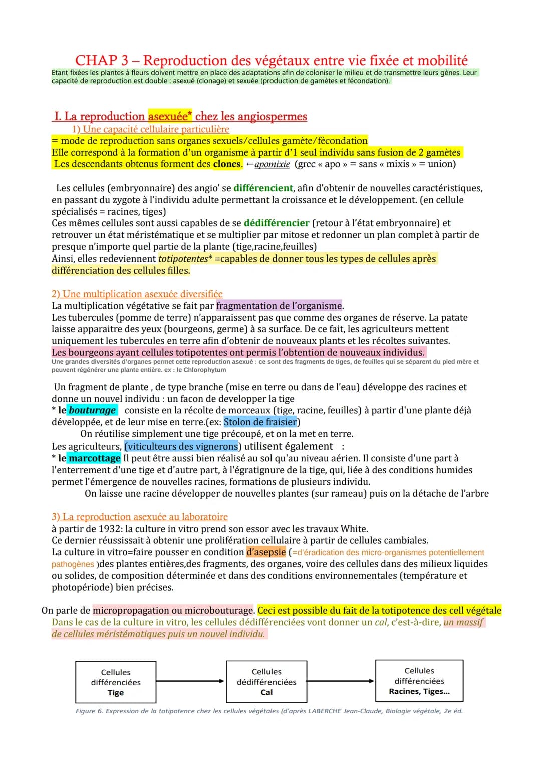 CHAP 3 - Reproduction des végétaux entre vie fixée et mobilité
Etant fixées les plantes à fleurs doivent mettre en place des adaptations afi