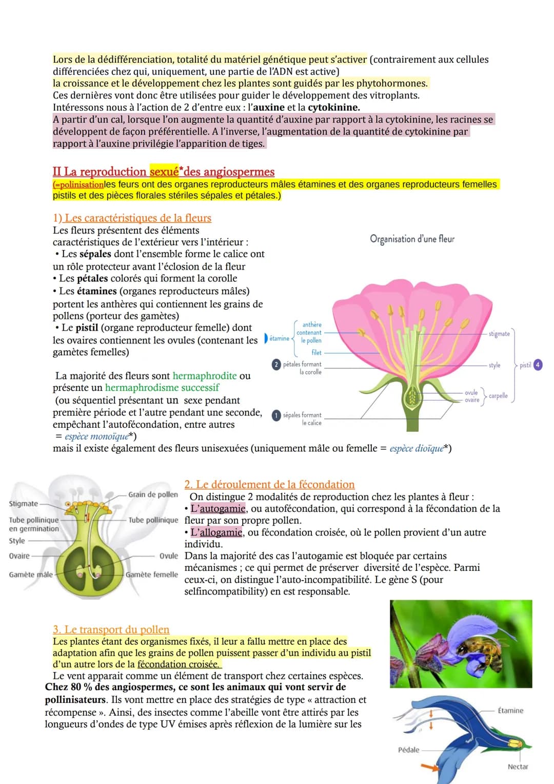 CHAP 3 - Reproduction des végétaux entre vie fixée et mobilité
Etant fixées les plantes à fleurs doivent mettre en place des adaptations afi