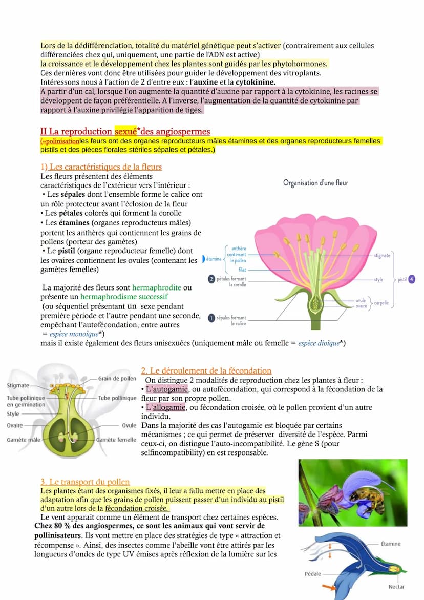 CHAP 3 - Reproduction des végétaux entre vie fixée et mobilité
Etant fixées les plantes à fleurs doivent mettre en place des adaptations afi