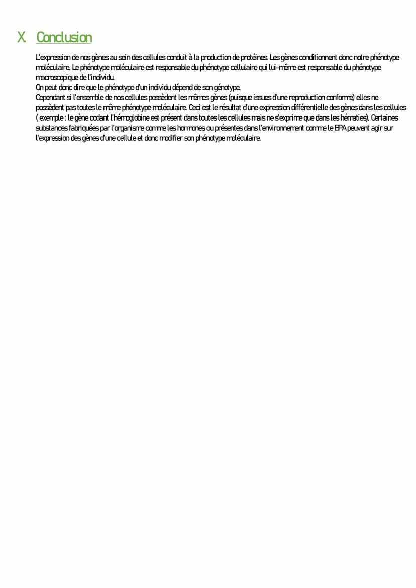 SVT
Expression du patrimoine génétique
I. Introduction
L'ensemble des activités cellulaires s'effectuent en suivant les instructions contenu
