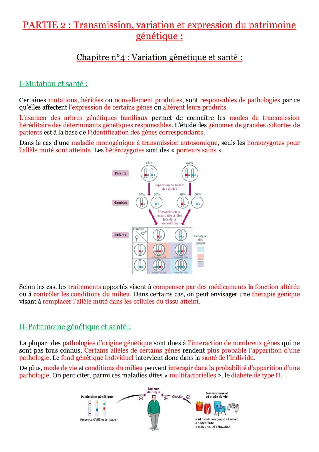 PARTIE 2 : Transmission, variation et expression du patrimoine
génétique :
Chapitre n°4 : Variation génétique et santé :
I-Mutation et santé