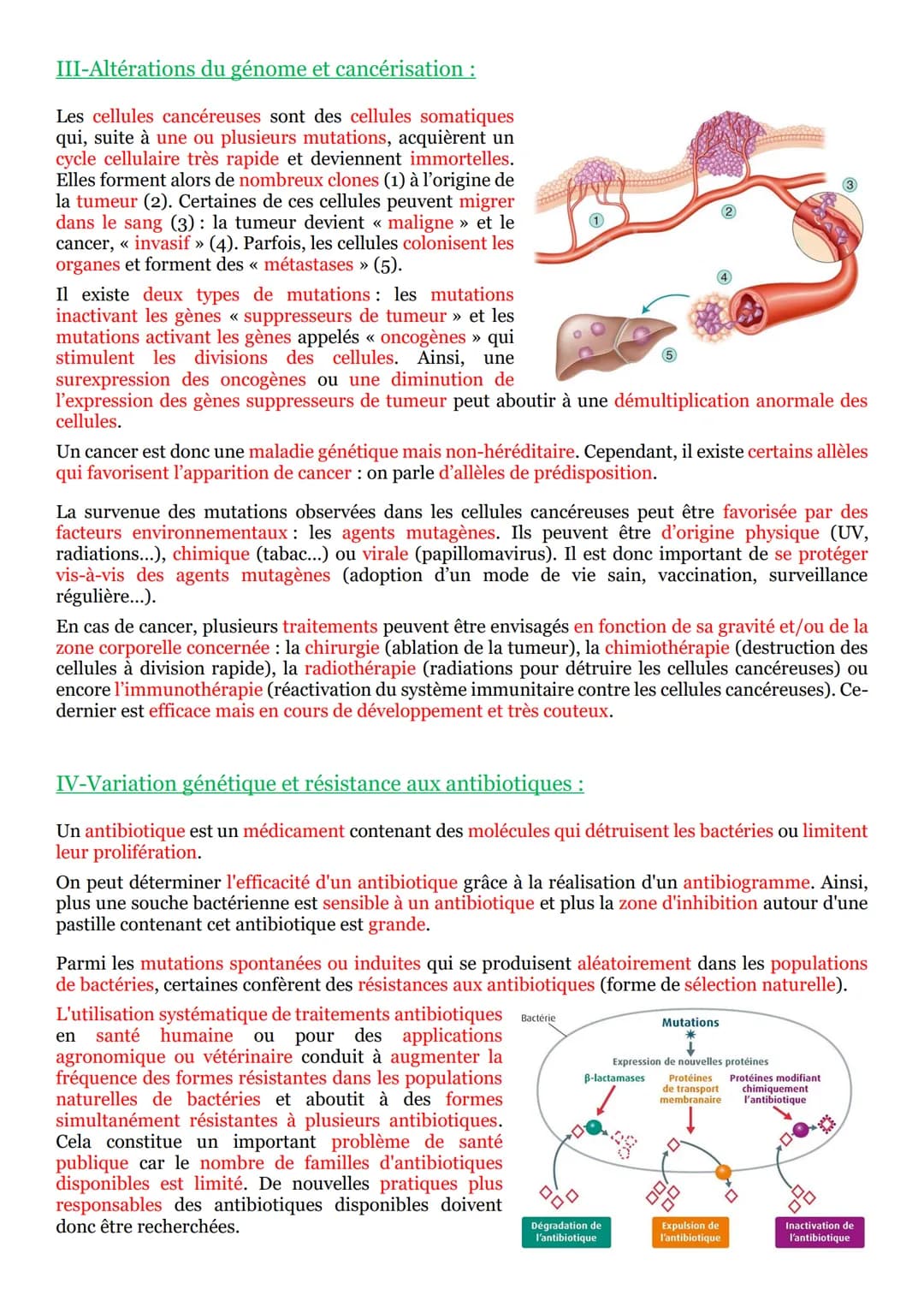 PARTIE 2 : Transmission, variation et expression du patrimoine
génétique :
Chapitre n°4 : Variation génétique et santé :
I-Mutation et santé