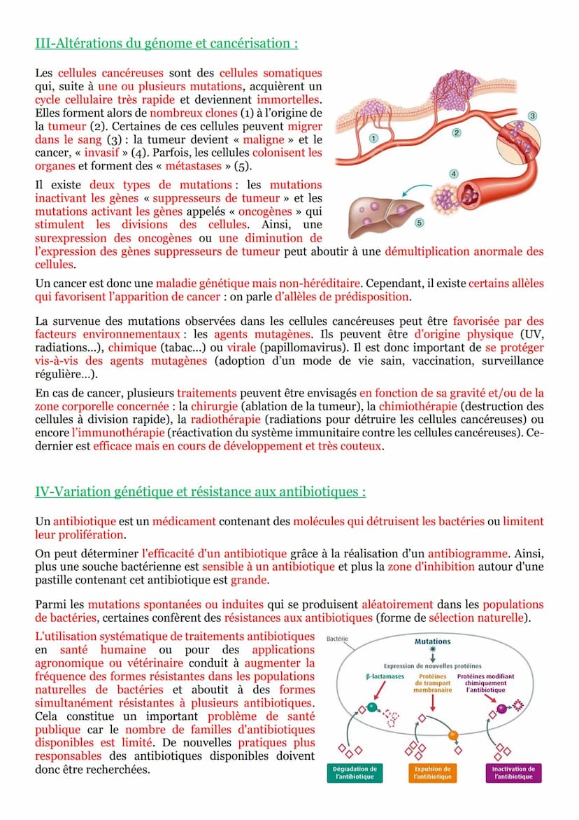 PARTIE 2 : Transmission, variation et expression du patrimoine
génétique :
Chapitre n°4 : Variation génétique et santé :
I-Mutation et santé