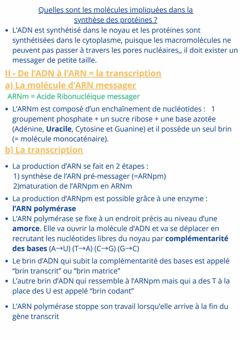 SCIENCES ET VIE DE LA TERRE
Chapitre 5 : L'expression du patrimoine génétique
Introduction:
• Toutes les cellules possèdent le même patrimoi