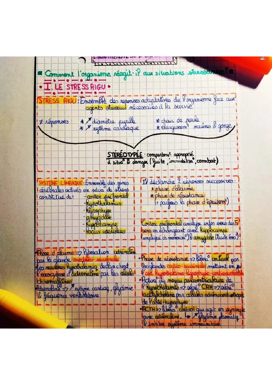 Stress aigu et chronique SVT Terminale - Fiche de révision et Schéma stress