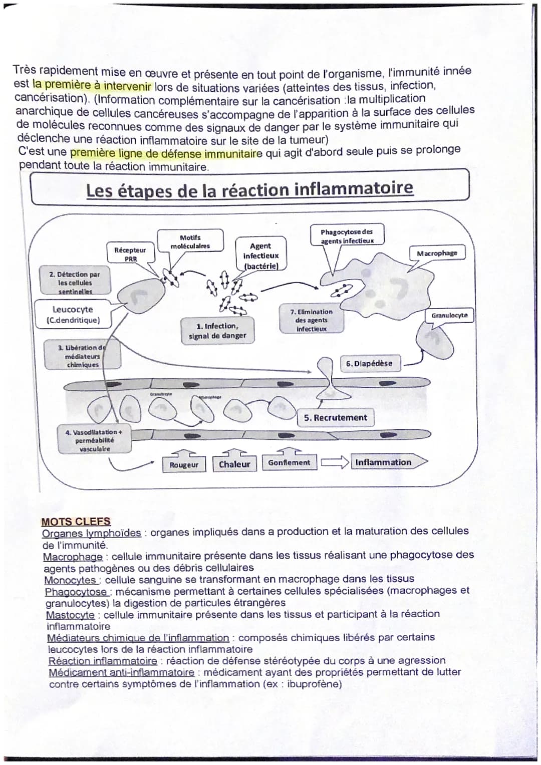 Thème : Le fonctionnement du système immunitaire humain
Introduction
Le système immunitaire est constitué d'organes, de cellules et de moléc