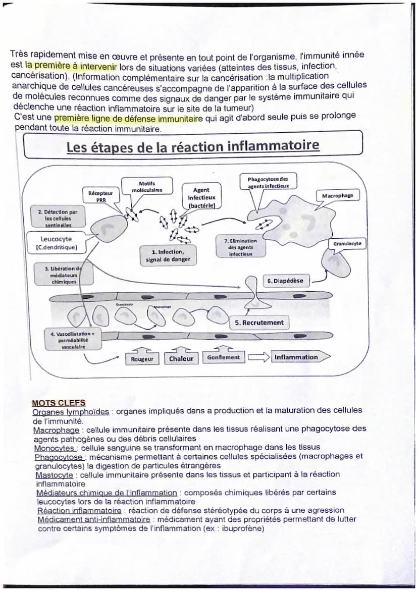 Thème : Le fonctionnement du système immunitaire humain
Introduction
Le système immunitaire est constitué d'organes, de cellules et de moléc
