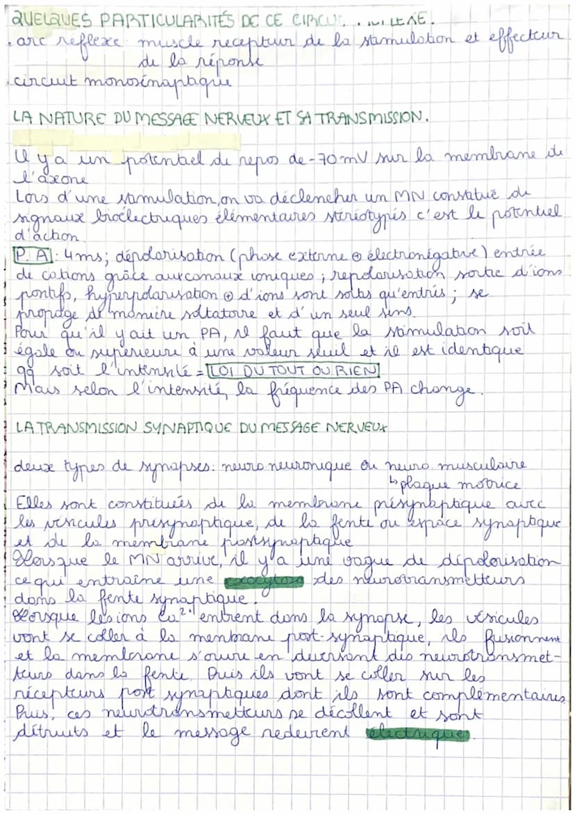 RAPPELS SYSTÈME NERVEUX
nerf
ORGANE
SENSORIEL sensitif NERVEUX moteur
bcapte
LES REFLEXES
banalyse
LES ACTEURS DU RÉFLEXE
réflexe mystatique