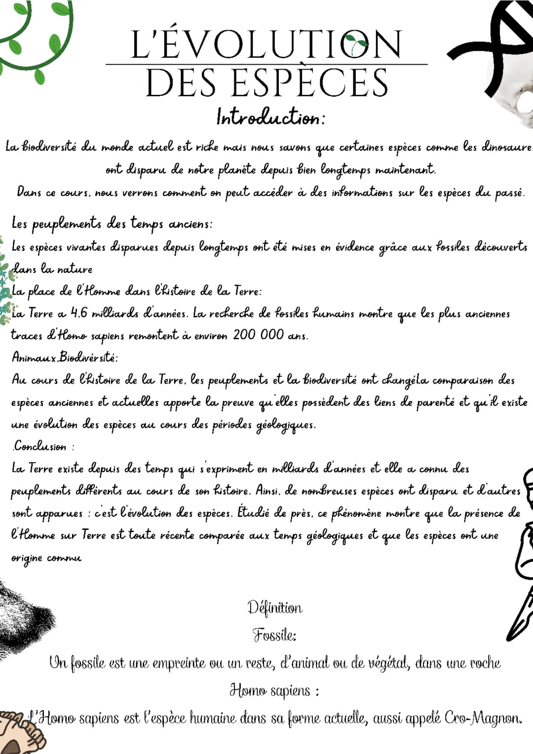 L'évolution Des Espèces