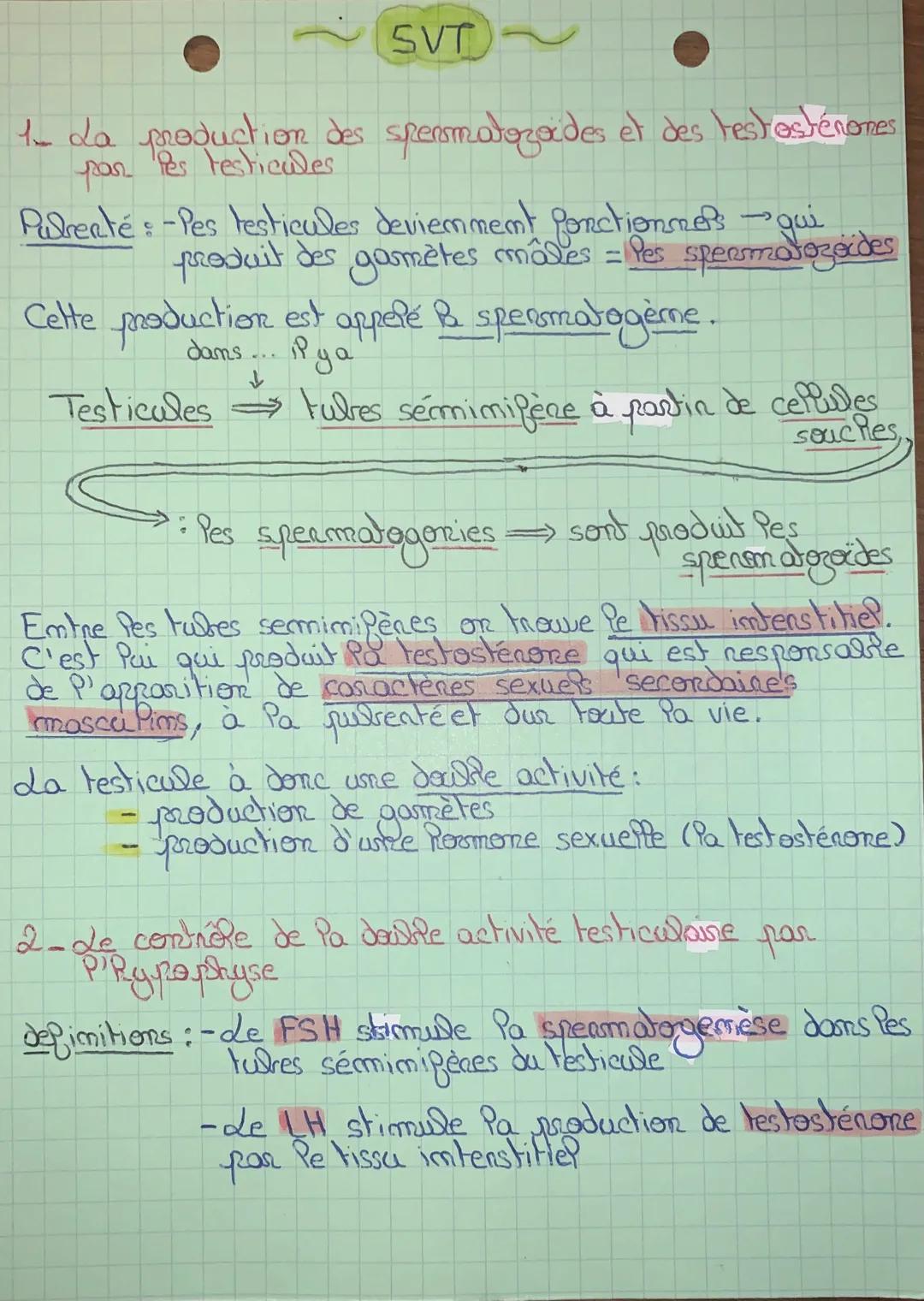 SVT
1- La production des spermatozoides et des testostérones
par les testicules
Pulrenté : - Pes testicules deviemment fonctionnels qui
prod