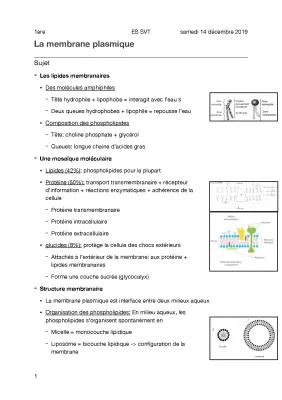 Know Cours 2 - La membrane plasmique thumbnail