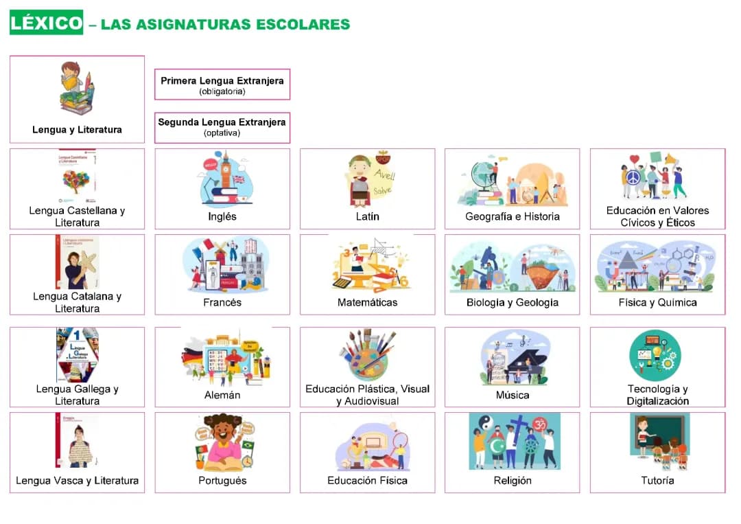 Mi Rutina Diaria en Español: Texto, PDF y Ejercicios Divertidos