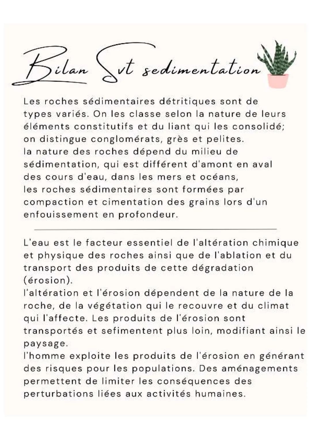 Découvre les Roches Détritiques et les Conséquences de l'Érosion