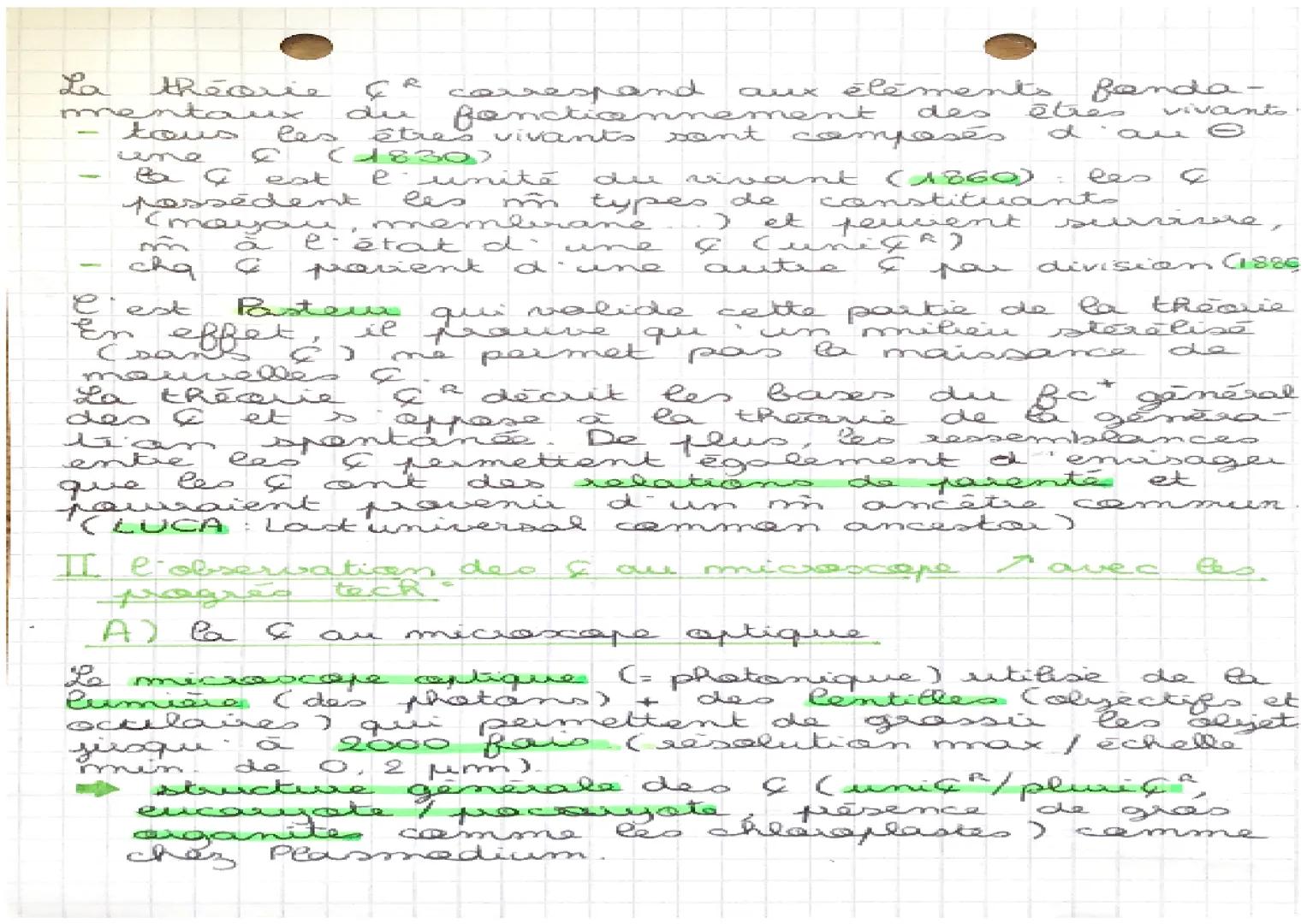 décennies
معلماتها
لسلام
مدونه
معه molt ماعد
عنان عناصعد
et les faits
ation G² (sans
particulière
compartimentation
ADN
ه است
R delimité
Bet