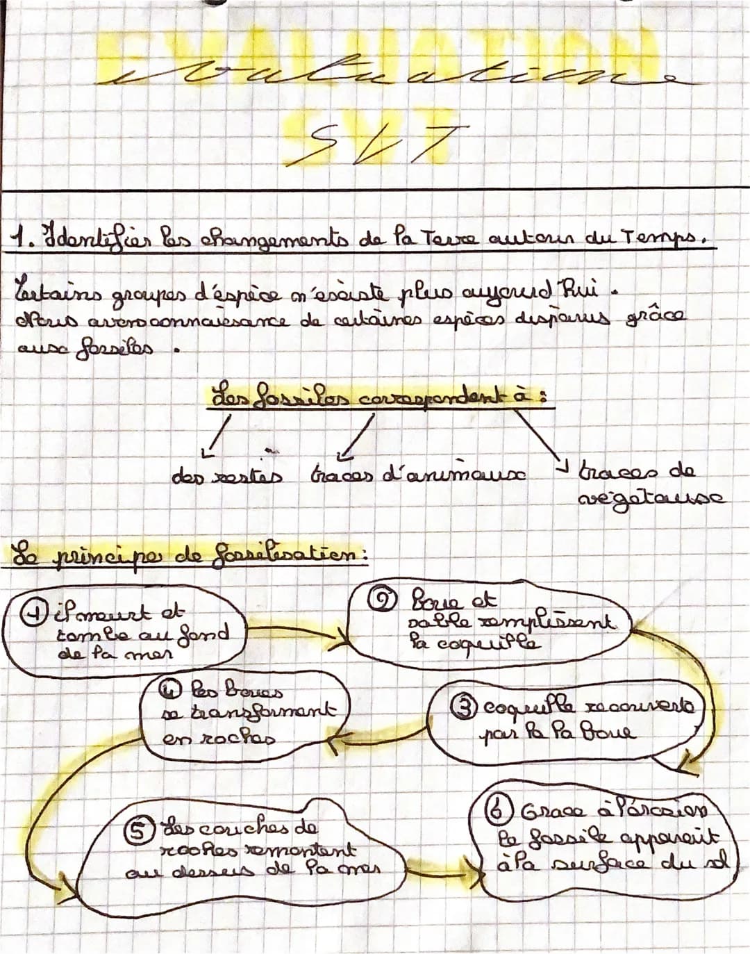 e
valuation
ہے
1. Identifier les changements de la Terre autour du Temps.
Certains
groupes d'éspèce n'éssiste plus aujourdhui.
Nous avers co