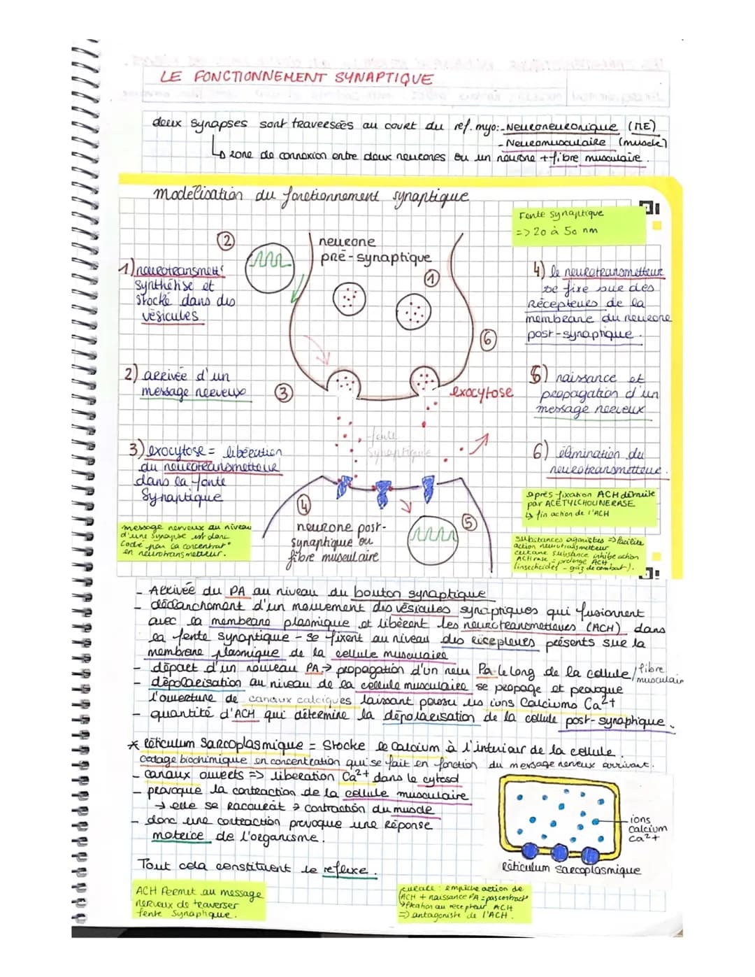 PPPS
-PARTIE 3. CORPS HUMAIN ET SANTÉ.
yer CHAPITRE- LES REFLEXES EX DE COMMUNICATION NERVEUSE.
Reflexe Reaction comportementale on Réponse 