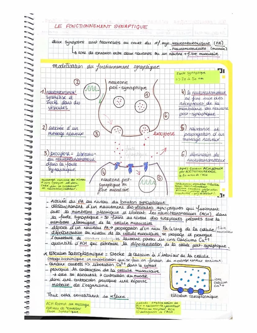 PPPS
-PARTIE 3. CORPS HUMAIN ET SANTÉ.
yer CHAPITRE- LES REFLEXES EX DE COMMUNICATION NERVEUSE.
Reflexe Reaction comportementale on Réponse 
