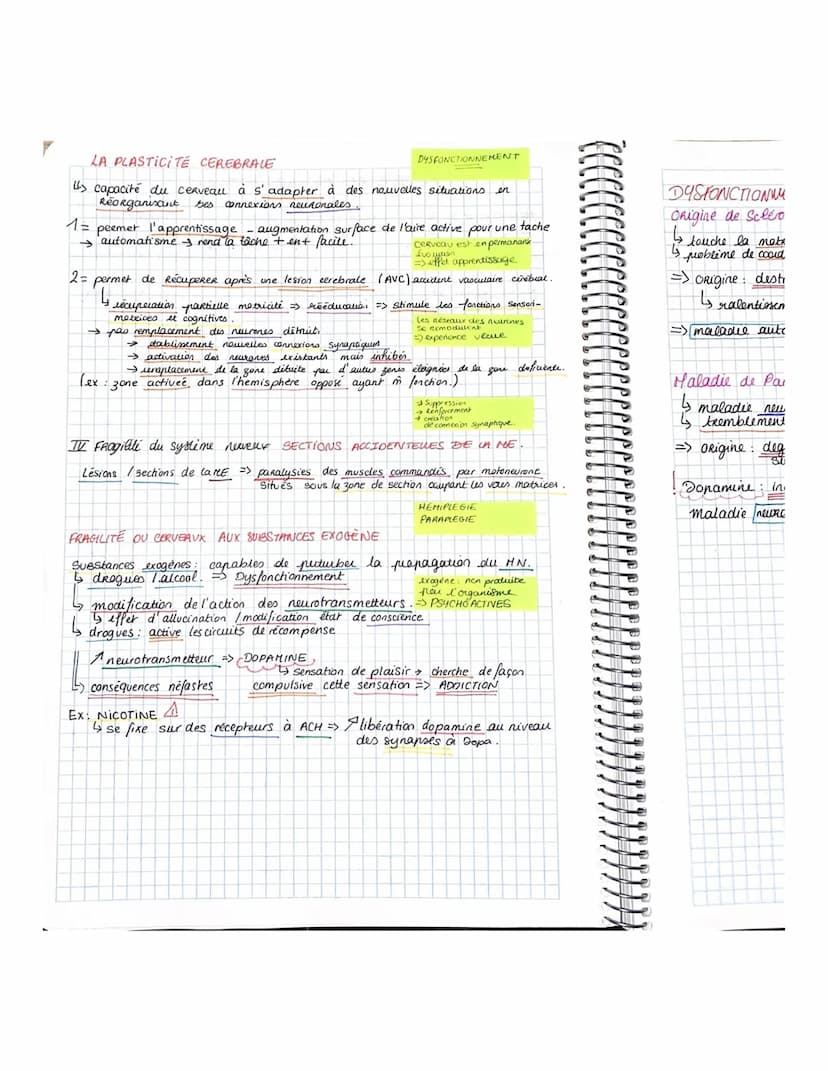 PPPS
-PARTIE 3. CORPS HUMAIN ET SANTÉ.
yer CHAPITRE- LES REFLEXES EX DE COMMUNICATION NERVEUSE.
Reflexe Reaction comportementale on Réponse 