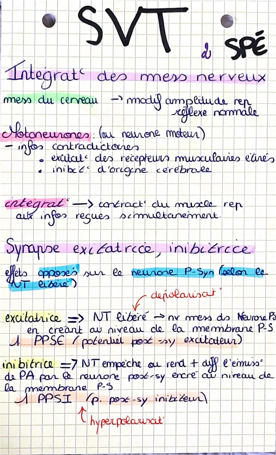 •
SVT & SPE

Cerveau & mowerment
volontaire

muscles involontairem commandés

> intervent structures cérébrales

accidents ou anomalies affe