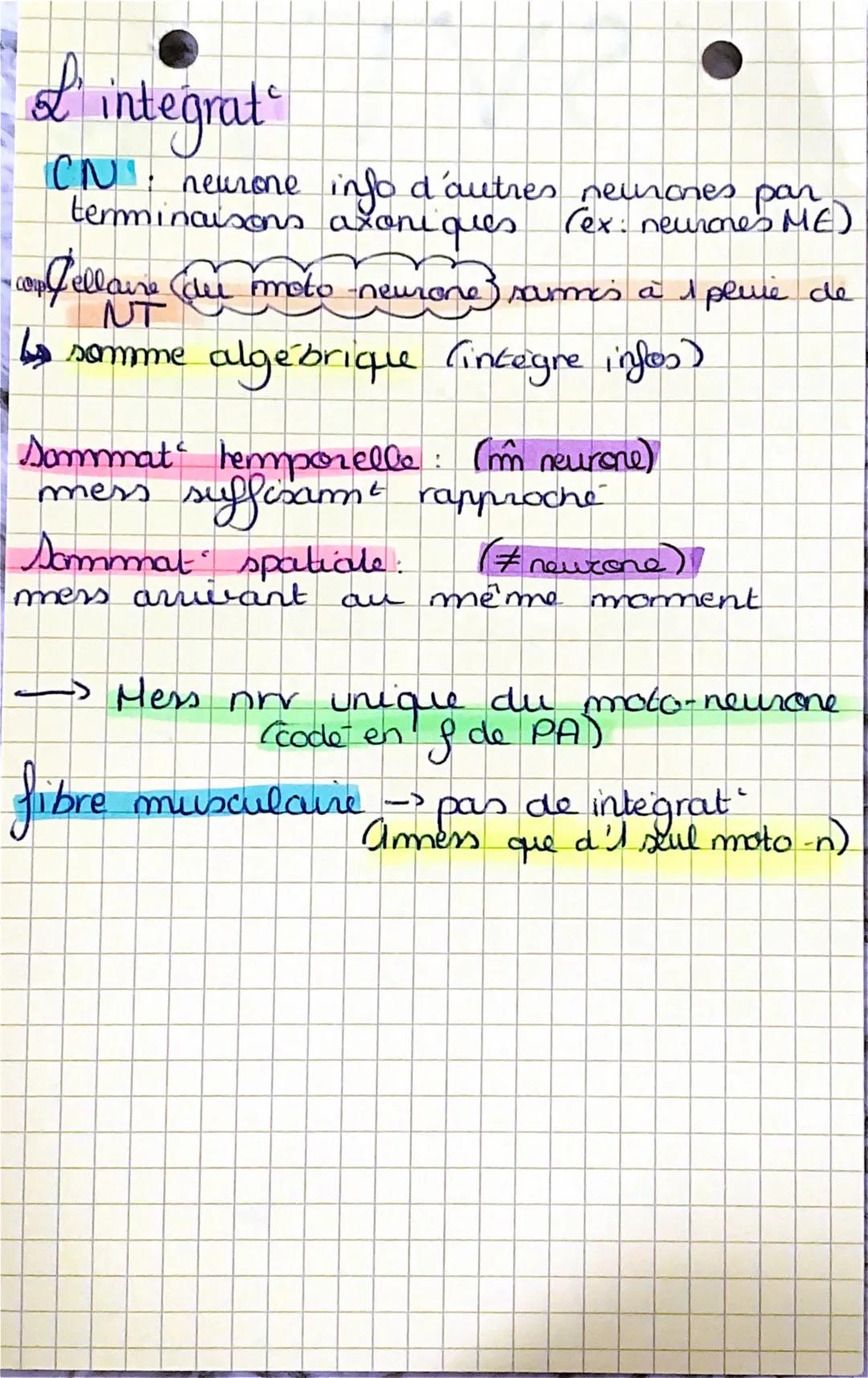 •
SVT & SPE

Cerveau & mowerment
volontaire

muscles involontairem commandés

> intervent structures cérébrales

accidents ou anomalies affe
