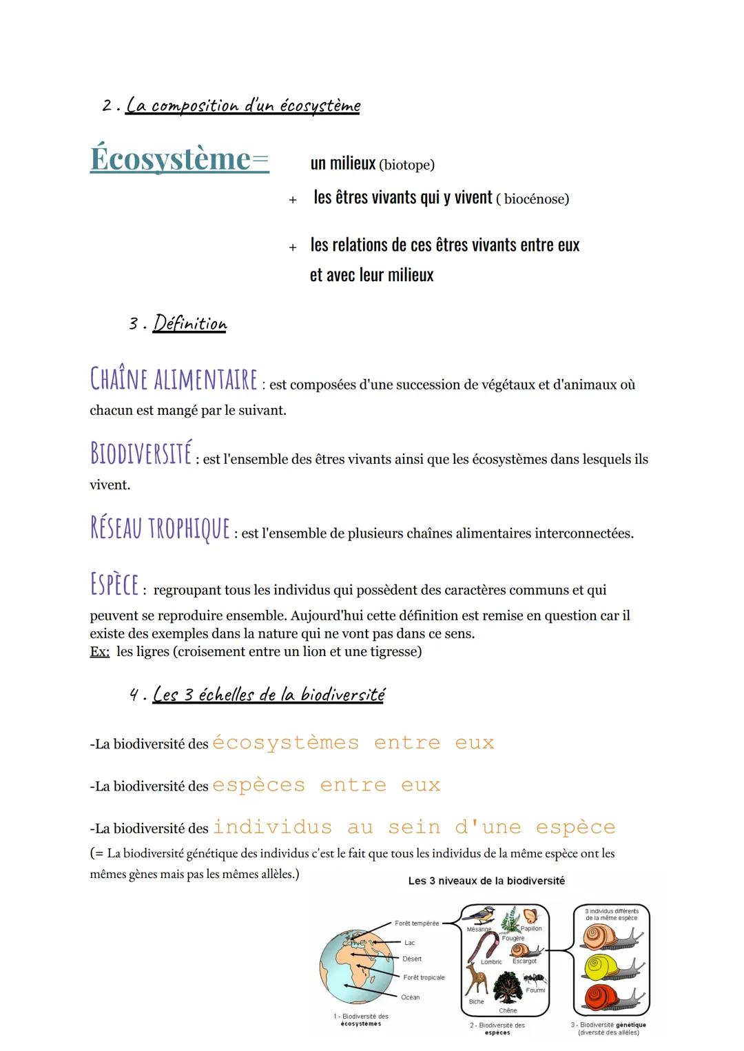 1. échange entre les végétaux et sou environnement
02
SOL
La biodiversité
CO₂
organe de
stockage
Photosynthèse
La tige
bourgeon
Rasine
Poil 