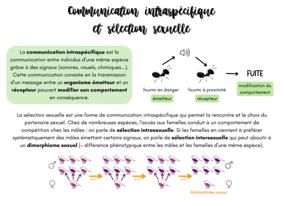 Know Communication intraspécifique et sélection sexuelle - SVT thumbnail