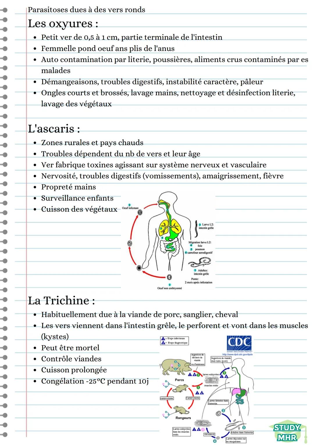 Parasite:
Etre vivant qui puise les substances qui lui sont nécessaires dans un autre être
vivant (hôte), auquel il cause des dommages plus 