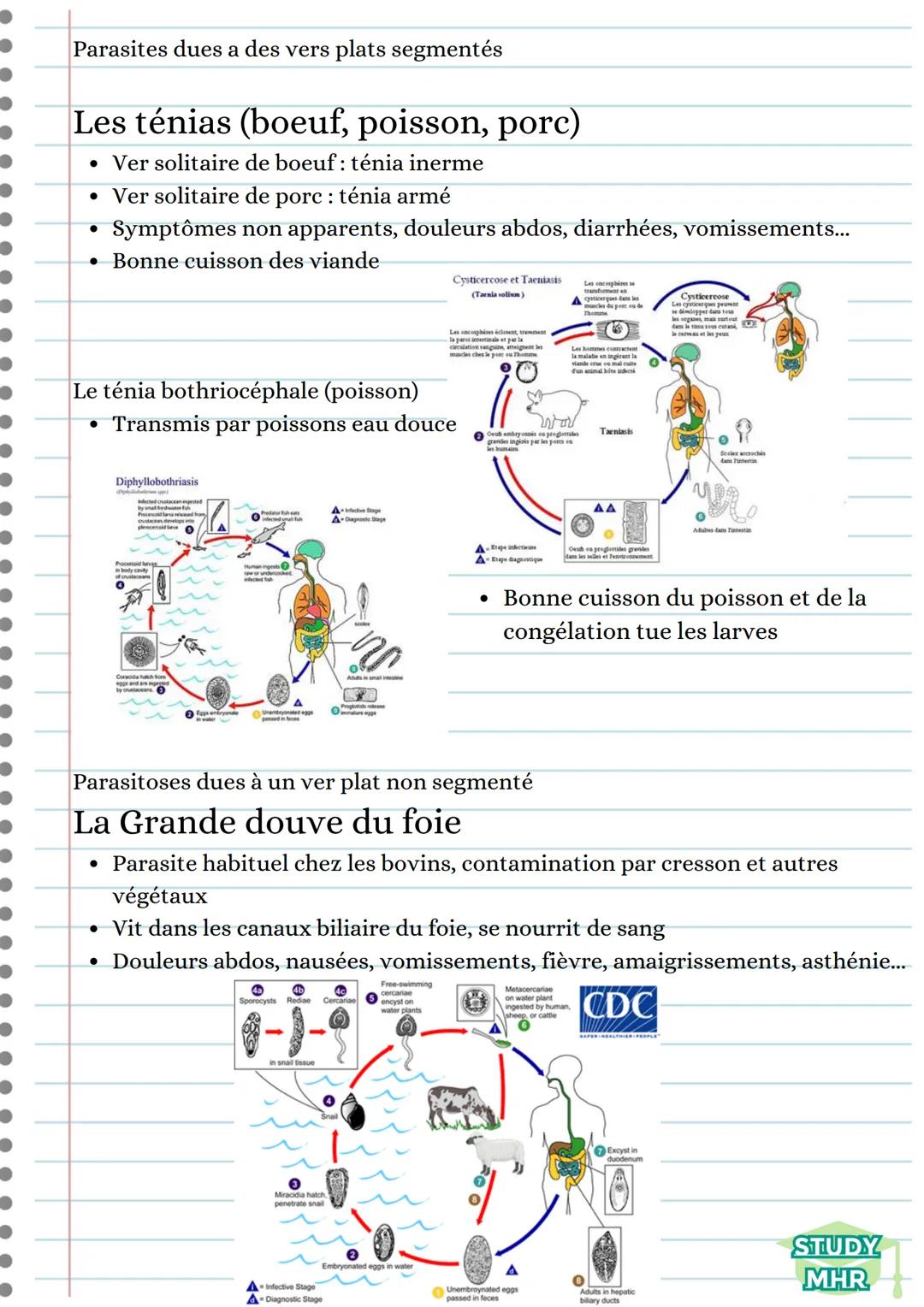 Parasite:
Etre vivant qui puise les substances qui lui sont nécessaires dans un autre être
vivant (hôte), auquel il cause des dommages plus 