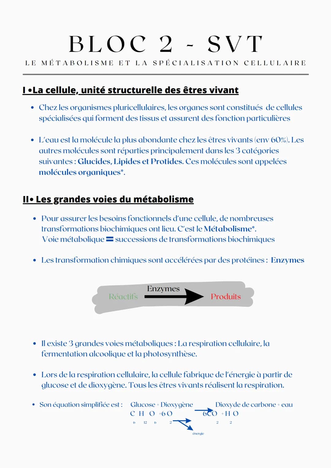 BLOC 2 - SVT
LE MÉTABOLISME ET LA SPÉCIALISATION CELLULAIRE
I •La cellule, unité structurelle des êtres vivant
• Chez les organismes plurice