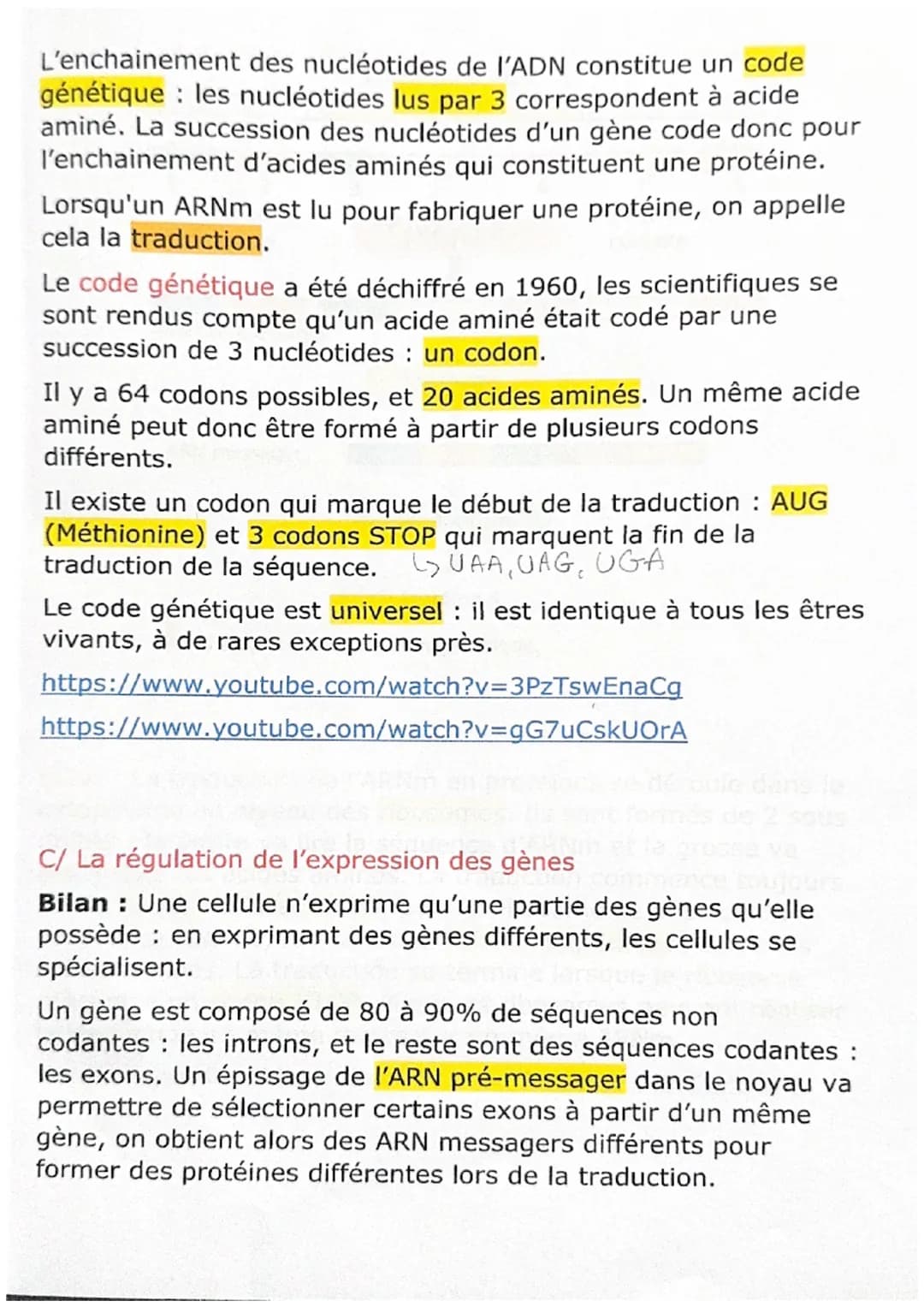 A/ L'ARN messager, lien entre le noyau et le cytoplasme
Bilan: Chez les eucaryotes, l'ADN est toujours localisé dans le
noyau cellulaire. A 