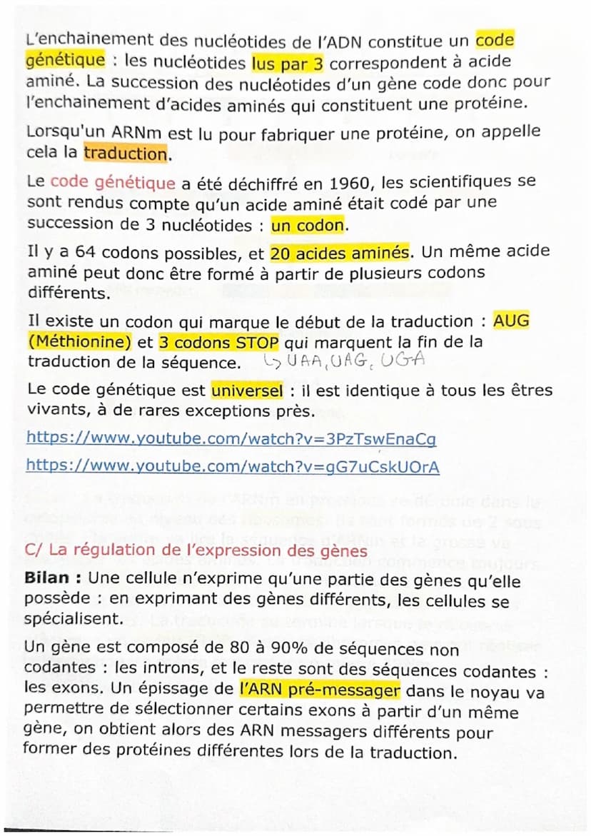 A/ L'ARN messager, lien entre le noyau et le cytoplasme
Bilan: Chez les eucaryotes, l'ADN est toujours localisé dans le
noyau cellulaire. A 