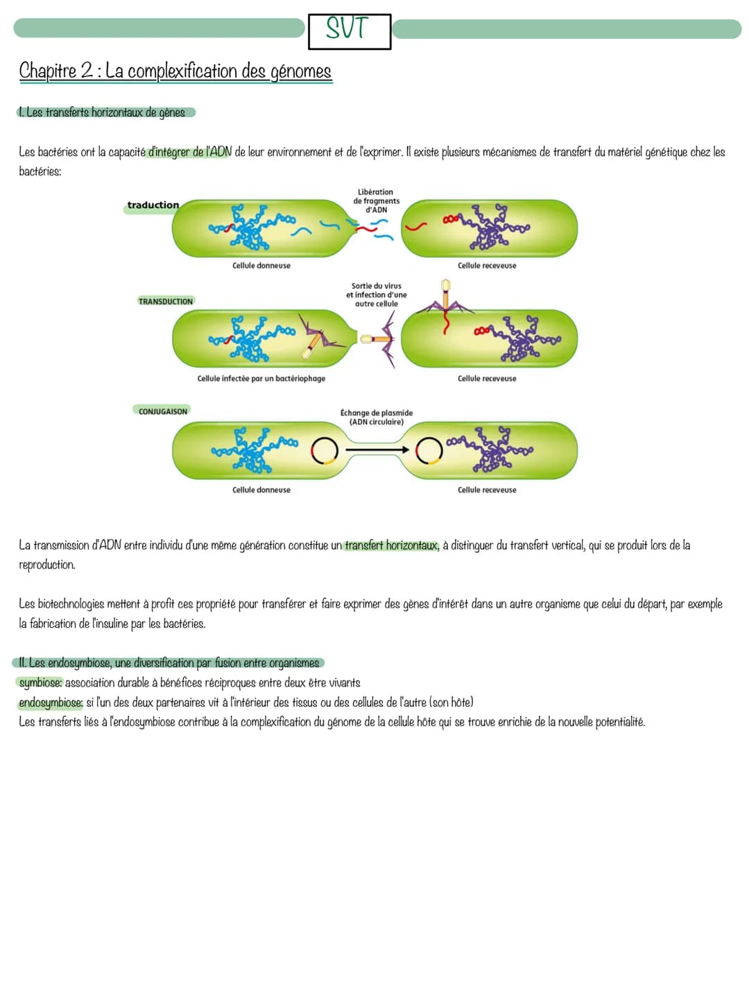 Chapitre 2: La complexification des génomes
1. Les transferts horizontaux de gènes
Les bactéries ont la capacité d'intégrer de l'ADN de leur